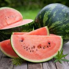 Melonen Anbauen Pflanzen Von Wassermelone Und Honigmelone Gartendialog De Melonen Melonen Anbauen Gemuse Pflanzen