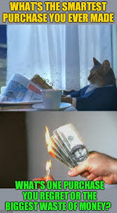 Image Tagged In Memes I Should Buy A Boat Cat Burning Money Imgflip Does anybody perhaps have a good money making guide. boat cat burning money