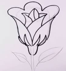 Objek satu ini cukup mudah untuk digambar. Sketsa Bunga Mawar Sederhana