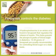 Fenugreek Controls The Diabetes Facebook Https Www Facebook Com Heal Health Health Day Health Tips