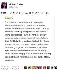 Thebestoftumbling Tumblr Funny Interesting Quizzes Funny Me