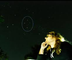 A constelação de cruzeiro do sul é uma, entre 88 constelações existentes. As Constelacoes E Os Signos Do Zodiaco Meteoriticas