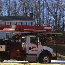 Karen goucher will set up your free estimate today. Jim S Tree Service Llc Facebook