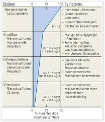 Niereninsuffizienz Chronische Niereninsuffizienz Chronische Niereninsuffizienz Medizin