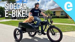 Image result for bicycle sidecar