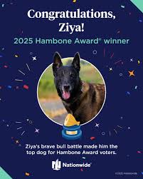 2025 Hambone Award Winner: Han Ziya's Inspiring Story