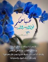 دعاء العهد روي عن الصّادق (عليه السلام) انّه قال: Ø£ÙØ¶Ù„ 23 Ø¯Ø¹Ø§Ø¡ Ø§Ø®Ø± Ø³Ø§Ø¹Ø© Ù…Ù† ÙŠÙˆÙ… Ø§Ù„Ø¬Ù…Ø¹Ø© Ù‚Ø¨Ù„ Ø§Ù„Ù…ØºØ±Ø¨ Ù…ÙƒØªÙˆØ¨ ÙˆØ¨Ø§Ù„ØµÙˆØ± ÙØ¶Ù„ ØªÙ„Ùƒ Ø§Ù„Ø³Ø§Ø¹Ø© Ø§Ù„Ø·ÙŠØ± Ø§Ù„Ø£Ø¨Ø§Ø¨ÙŠÙ„