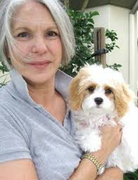 Discover 39 Cute dogd ideas