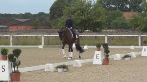 Sie trägt die auszeichnung reitmeister. Stanford Dorothee Schneider 1 Sichtung Wm Junge Dressurpferde 2015 Youtube