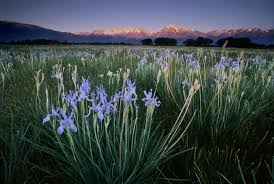 We did not find results for: When And Where To See The California Super Blooms