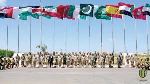 ما هي مناورات "النجم الساطع" ومن هي الدول المشاركة ؟ | Defense Arabia