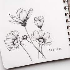Day 5 31 Of Floralsyourway Cosmos Posting Bright And Early This Morning Because It S A Long Weekend Line Art Drawings Line Art Flowers Flower Line Drawings