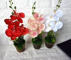 Selamat datang di channel idetrik crafts, hallo semua pertemuan kali ini aku berbagi cara cara. Jual Naindo Bunga Anggrek Sintesis Cantik Dengan Pot Hiasan Ruang Tamu Dan Kantor Tinggi 45 Cm Di Lapak Naindo Home Decor Bukalapak