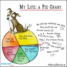 Adopt A Pet Com Blog New Cartoon Pie Chart Adopt A Pet