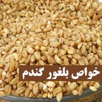 خواص بلغور گندم 15 خاصیت بلغور برای لاغری و رشد