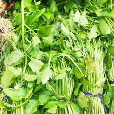 Choose minari with plump stems and leaves that are fresh looking and green. Water Dropwort Information And Facts