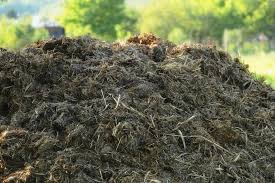 We did not find results for: Manure Hunt Underway After India Thieves Steal Cow Dung
