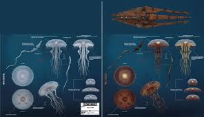 The Art Of Star Wars The Clone Wars Star Wars Art Star Wars Ships Star Wars Episodes