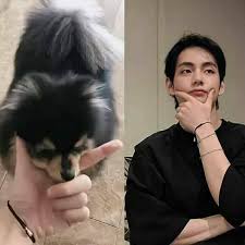 Kim taehyung, right?), tetapi saat v bts menggunakan outfit berbahan leather, aura sisi seksi dan cool dalam dirinya langsung meningkat . Bts V Aka Kim Taehyung And Pooch Tannie S Pictures Scream Like Father Like Son View Pawwdorable Proof