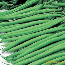 Jenis kacang panjang tanpa lanjaran ini merupakan bastar (hibrida). Biji Asparagus Bagaimana Memilih Varieti Untuk Penanaman Taman Ini