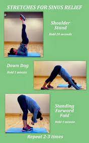 We did not find results for: Honest Healthy Living Yoga Poses For Sinus Relief Sinus Relief Asthma Treatment Sinusitis