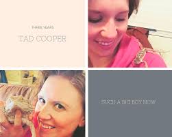 Tad Cooper and his strawberry!! #tadcooper #beardeddragon #beardielove