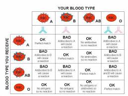 meticulous blood type donor receiver chart blood type and