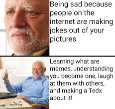 Hide The Pain Harold Was On Tedx Link Https Youtu Be Fscfgu7rqam Memes