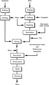 Miso An Overview Sciencedirect Topics