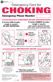 Survival Skills Choking First Aid