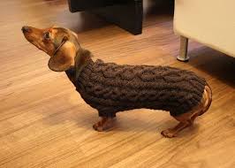 Looking for free knitted puppy sweater or coat. Just About To Sneeze Dog Sweater Pattern Knitted Dog Sweater Pattern Diy Dog Sweater