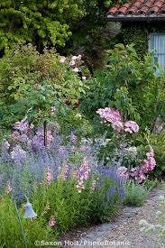 Holt 1003 0163 Cr2 Photobotanic Stock Photography Garden Library Country Garden Decor Rose Companion Plants Beautiful Gardens