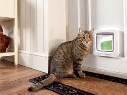 This is a cat door/flap that can only be opened by the animal that wears the appropriate rfid tag. Discover Sureflap S Range Of Microchip Pet Doors