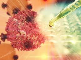 Blood tests to check on your. Post Chemo Bone Marrow Regeneration Elucidated 2021 03 08 Bioworld
