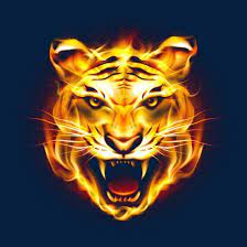 Hd Tiger Picture Fierce Flames Free Png And Psd Menggambar Harimau Gambar Menggambar Kepala