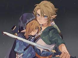 Link Protects Link Legend Of Zelda Breath Of The Wild Twilight Princess Legend Of Zelda Breath Legend Of Zelda Memes Legend Of Zelda