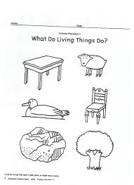 Living Vs Nonliving Activity Paper 2 Kindergarten Worksheets Kindergarten Worksheets Printable Kindergarten Science