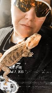 Why is my bearded dragon not eating crickets?