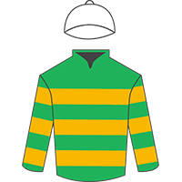 Grand national 2021 runner guide. 2021 Grand National Confirmed Runners Horse By Horse Live Odds