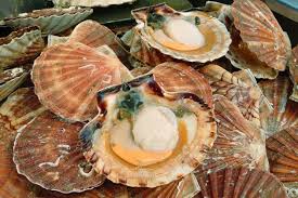 Check spelling or type a new query. Dieppe Volume En Hausse Prix En Baisse Pour La Coquille St Jacques A Dieppe