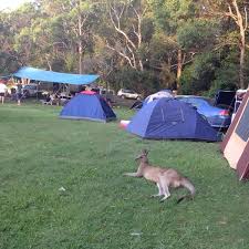 Maybe you would like to learn more about one of these? Photos At Indian Head Camping Area Campground In Dunbogan