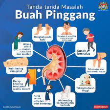 See more ideas about natural beauty tips, online magazine, women online. Kementerian Kesihatan Malaysia 15 Rakyat Malaysia Menghidap Penyakit Buah Pinggang Kronik Pelbagai Peringkat Kebanyakan Mereka Hanya Mengetahui Menghidap Penyakit Itu Apabila Sudah Berada Pada Tahap Serius Kerana Tiada Gejala Peringkat Awal Facebook