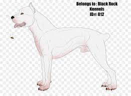 Anjing laga cordoba (ms) extinct dog type (en); Dogo Argentino Cordoba Kampfhund Old English Terrier Hund Rasse Guatemaltekischen Dogo Andere Png Herunterladen 847 656 Kostenlos Transparent Hund Png Herunterladen