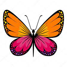 Pin En Mariposas Lindas