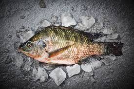 How to Choose Fresh Tilapia