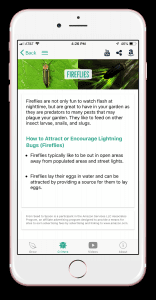 Check spelling or type a new query. Critters How Fireflies Help Your Garden How To Attract Them From Seed To Spoon Vegetable Garden Planner Mobile App