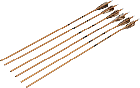Size/straightness weight (gn/in) spine length o.d. Amazon Com Gold Tip Traditional Arrows With 4 Inch Feathers Pack Of 6 Sports Outdoors