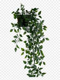 We did not find results for: Plant Pngs Hanging Plant Png Clipart 1095482 Pikpng