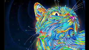 20 best trippy movies on netflix right now. Trippy Videos When You Re High Youtube