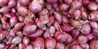 The Difference Between Shallots Green Onions Scallions And Spring Onions Myfoodbook